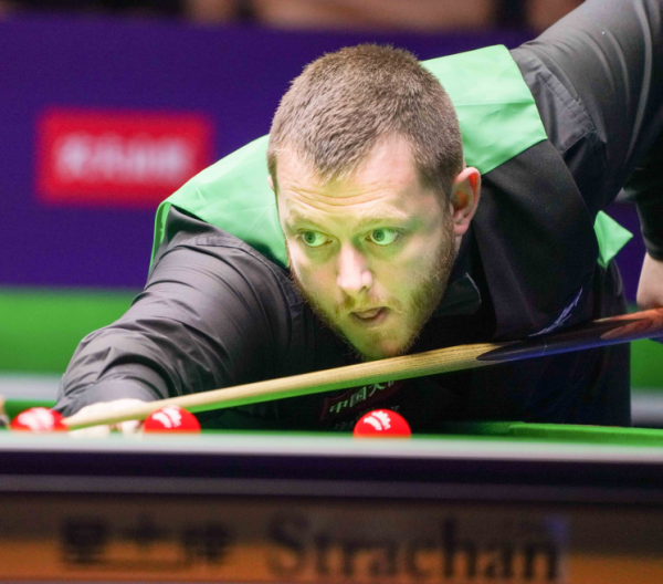 限于某一个 限于某一个